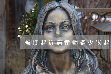 被打起诉请律师多少钱(起诉打官司要多少钱)