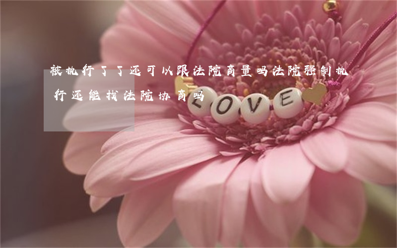 被执行了了还可以跟法院商量吗(法院强制执行还能找法院协商吗)