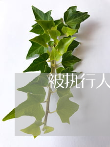 被执行人只能坐火车吗