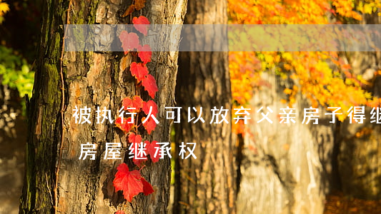 被执行人可以放弃父亲房子得继承权吗(放弃房屋继承权)