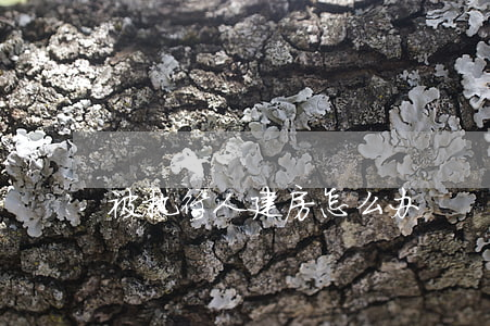 被执行人建房怎么办