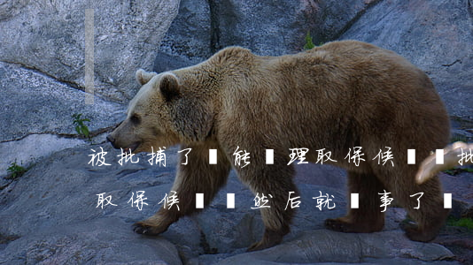 被批捕了還能辦理取保候審嗎(批捕以后可以取保候審嗎?然后就沒事了嗎?)