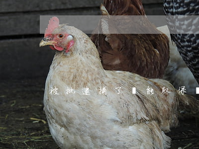被批逮捕了還能取保嗎