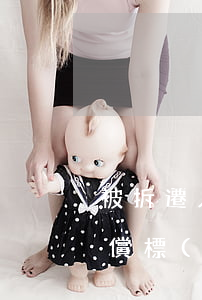 被拆遷人可以自主查詢征收拆遷補(bǔ)償標(biāo)準(zhǔn)嗎
