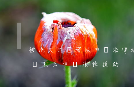 被拖欠工資可以申請法律援助嗎(公司拖欠工資怎么申請法律援助)