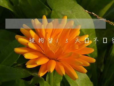 被拘留15天會不會留案底