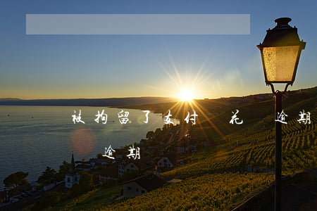 被拘留了支付寶花唄逾期(拘留期間支付寶借唄逾期)