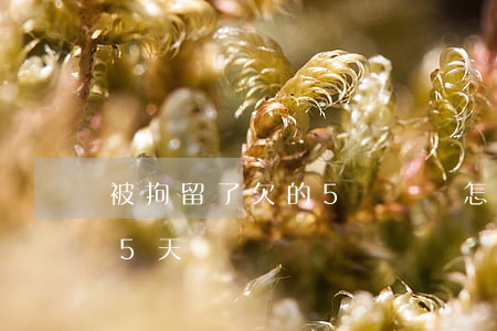 被拘留了欠的5萬網貸怎么辦(欠網貸拘留15天)