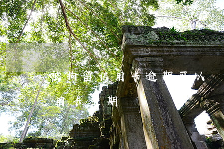 被拘留信用卡逾期可以給證明(被拘留造成信用卡逾期)