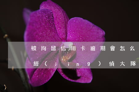 被拘留信用卡逾期會怎么樣（信用卡逾期到了經(jīng)偵大隊會拘留嗎）