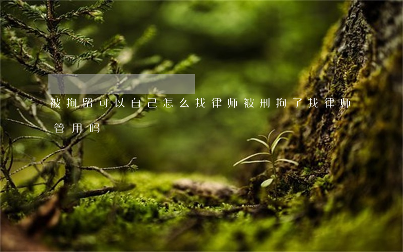 被拘留可以自己怎么找律师(被刑拘了找律师管用吗)
