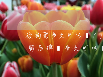 被拘留多久可以見(jiàn)到律師(被拘留后律師多久可以會(huì)見(jiàn))