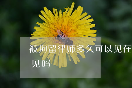 被拘留律师多久可以见(在拘留期间律师可以见吗?)