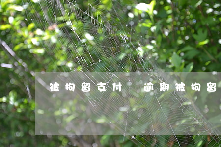 被拘留支付寶逾期(被拘留了支付寶沒還怎么辦)