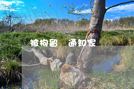 被拘留會通知家屬嗎