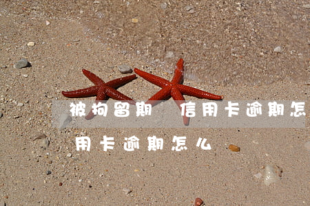 被拘留期間信用卡逾期怎么辦(在拘留期間信用卡逾期怎么辦)