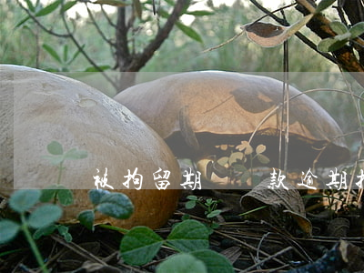 被拘留期間還款逾期(拘留期間貸款逾期怎么辦)