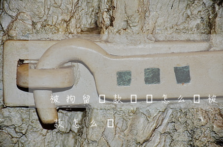 被拘留罰款沒錢怎么辦(被拘留了沒有錢交罰款怎么樣)