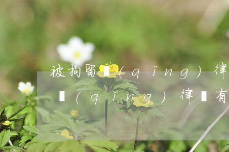 被拘留請(qǐng)律師有用嗎(拘留期間請(qǐng)律師有用嗎)