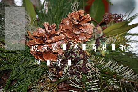 被拘留請律師有用嗎(犯罪被拘留了就可以請律師了嗎)