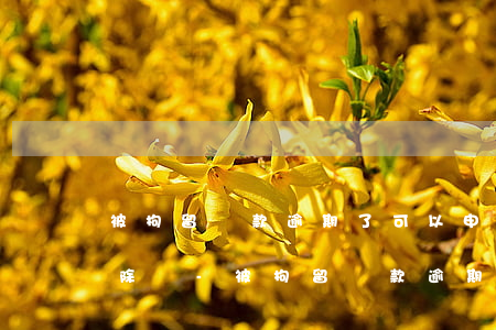 被拘留貸款逾期了可以申請(qǐng)消除嗎-被拘留貸款逾期了可以申請(qǐng)消除嗎知乎