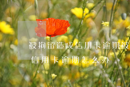 被拘留造成信用卡逾期(被刑事拘留导致银行信用卡逾期怎么办)