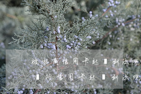 被招商信用卡起訴到法院怎么處理-被招商銀行信用卡起訴到法院一般會(huì)怎么判