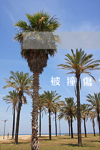被撞傷骨折可以要求賠多少錢
