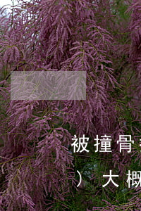 被撞骨折賠償標(biāo)準(zhǔn)大概多少錢(被撞了骨折了要求賠多少錢)