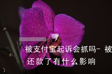 被支付宝起诉会抓吗-被支付宝起诉了然后还款了有什么影响