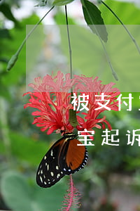 被支付宝起诉后多久会被冻结财产-被支付宝起诉后多久会被冻结财产呢