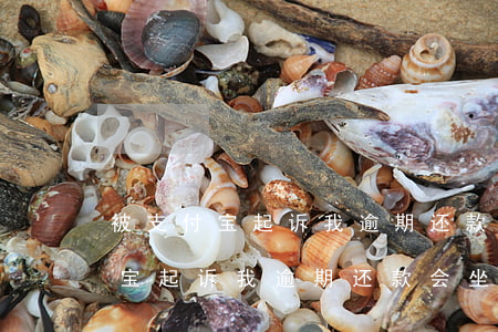 被支付宝起诉我逾期还款会坐牢吗-被支付宝起诉我逾期还款会坐牢吗知乎