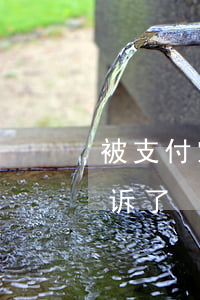 被支付宝逾期起诉事件(支付宝逾期了说要起诉了)