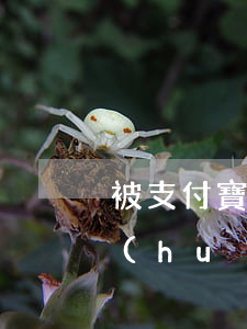 被支付寶起訴敗訴了 被支付寶起訴后法院會(huì)采取什么措施