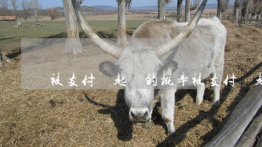 被支付寶起訴的概率 被支付寶起訴的概率