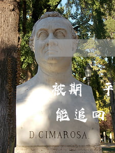 被期貨平臺騙了錢如何追回,期貨平臺被騙可能追回嗎 被期貨平臺騙了錢如何追回,期貨平臺被騙可能追回嗎
