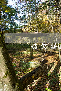被欠薪職工能否破產(chǎn)申請