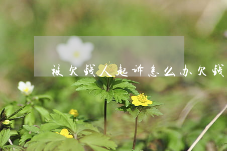被欠钱人起诉怎么办(欠钱被起诉了该怎么办)