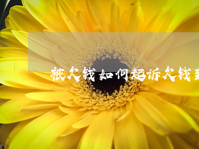 被欠钱如何起诉(欠钱到法院怎么起诉)