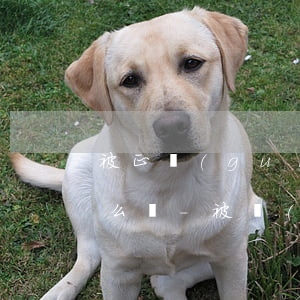 被正規(guī)網(wǎng)貸起訴怎么辦-被網(wǎng)貸平臺起訴了會坐牢嗎