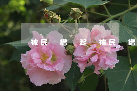 被民間借錢起訴(被民間借錢起訴會怎么樣)