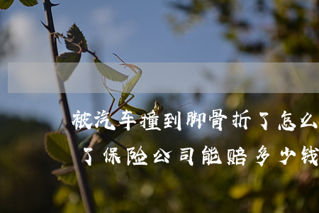 被汽车撞到脚骨折了怎么赔偿(脚被车撞骨折了保险公司能赔多少钱)