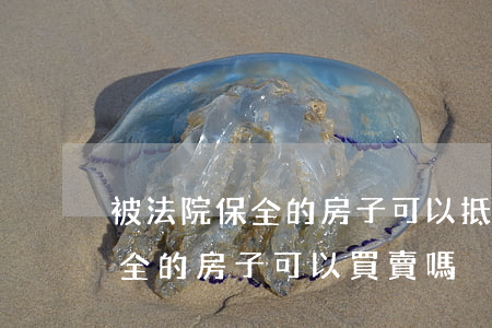 被法院保全的房子可以抵押登記嗎(被法院保全的房子可以買賣嗎)