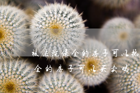 被法院保全的房子可以抵押登记吗(被法院保全的房子可以买卖吗)