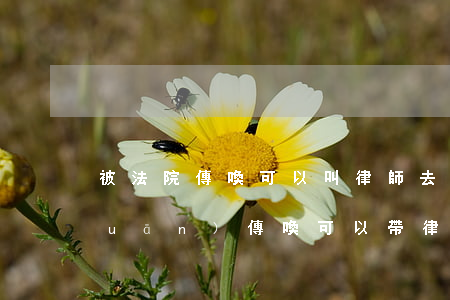 被法院傳喚可以叫律師去嗎(被公安機關(guān)傳喚可以帶律師一起去嗎)
