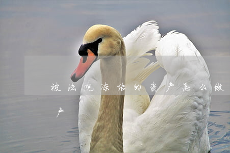 被法院冻结的资产怎么做账(如何冻结公司资产)