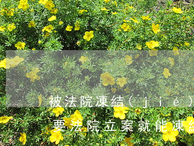 被法院凍結(jié)的公司可以注銷嗎(只要法院立案就能凍結(jié)公司的賬戶嗎)