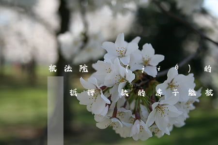 被法院凍結(jié)的房子可以抵押貸款嗎(抵押貸款的房子能被法院執(zhí)行嗎)