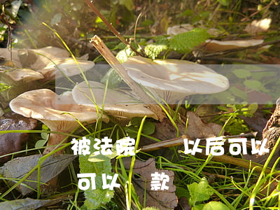 被法院凍結以后可以貸款嗎(被法院凍結以后可以貸款嗎)