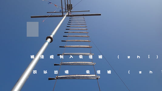 被法院列入失信被執(zhí)行人名單后可以出境嗎(失信被執(zhí)行人能出境嗎)